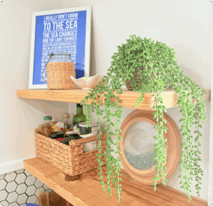 Cleaning Vacation Rental Kitchen Shelves